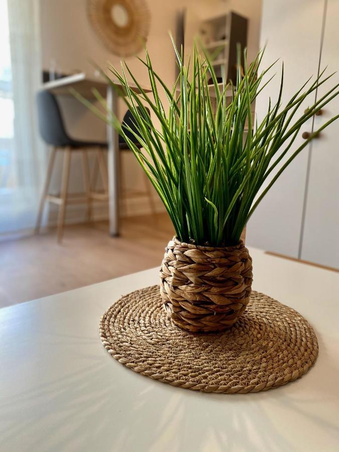 Cosy Break Jardins Des Plantes Apartamento Le Mans Exterior foto